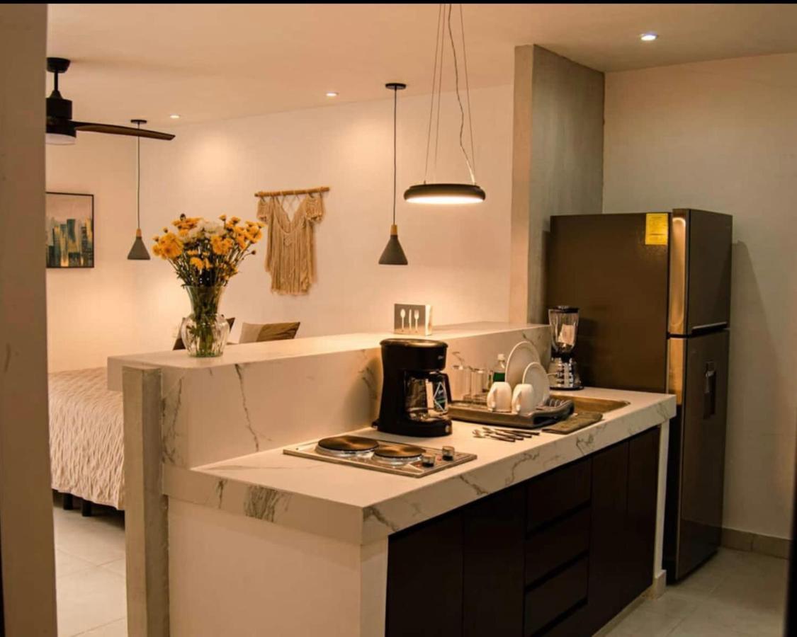 Appartement Mid-498 Centro à Mérida Extérieur photo