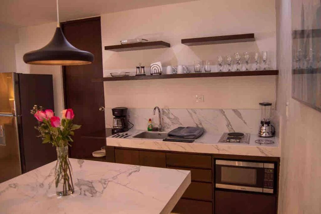 Appartement Mid-498 Centro à Mérida Extérieur photo